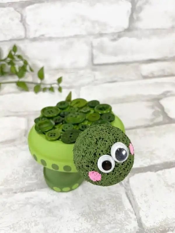 Adorable Turtle Plant Pot Craft