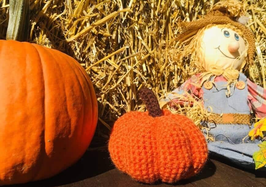 Charming Crochet Pumpkin Craft Ideas