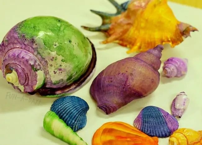 Creative Shell Painting Ideas for Kids