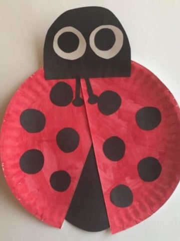 Easy Ladybug Craft with Paper Plates