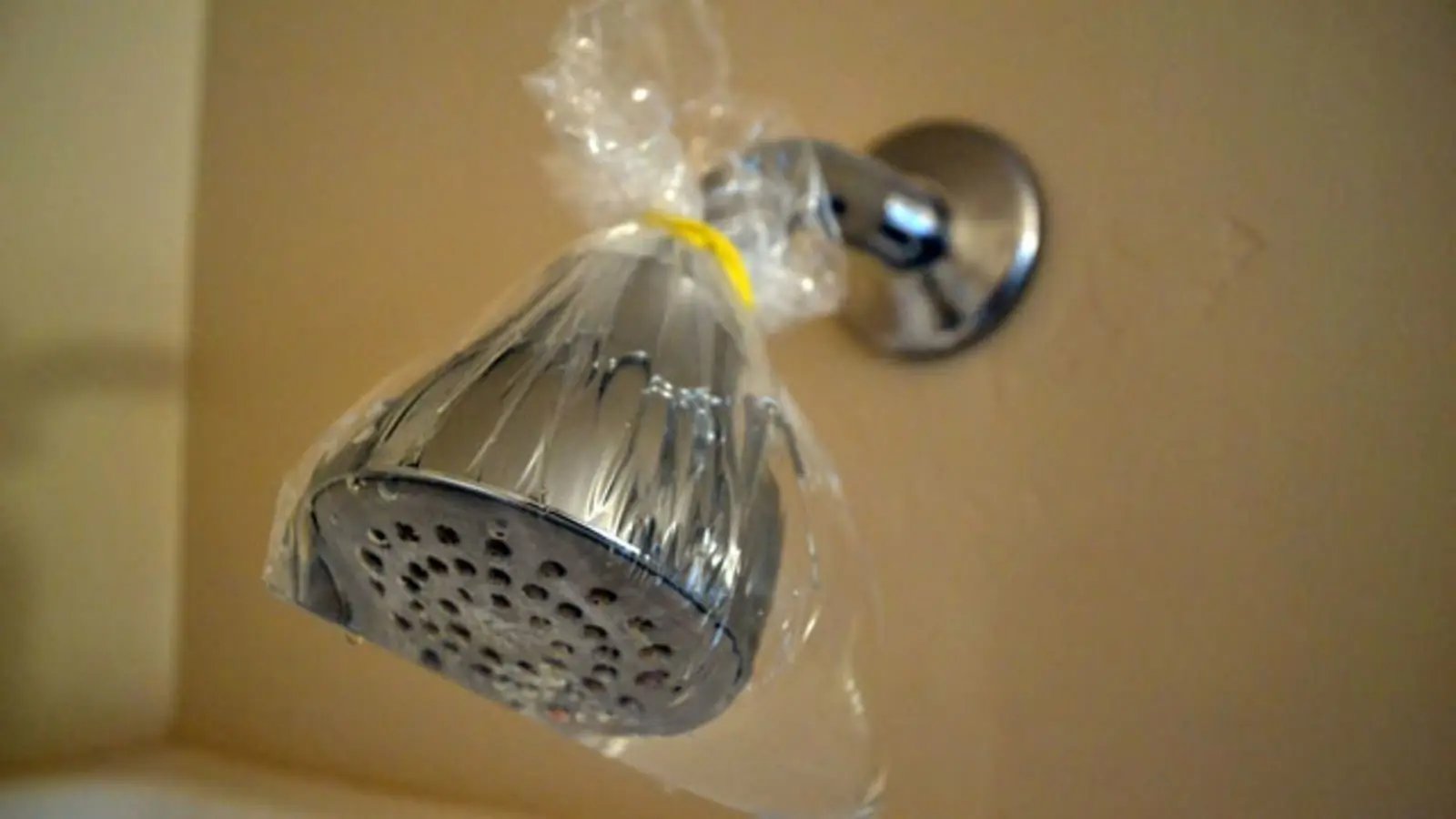 Eliminate Showerhead Stains with Vinegar