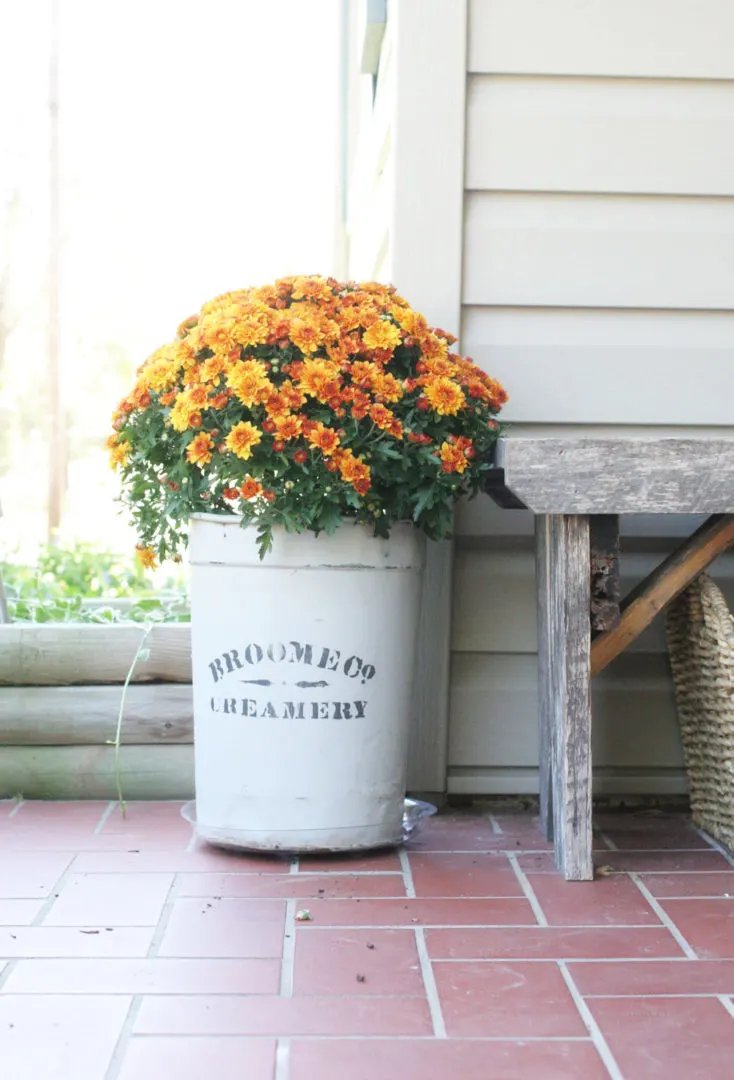 Autumn-Themed Planters