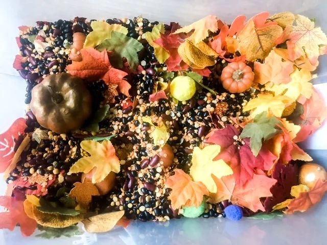 Autumn-Themed Sensory Bin