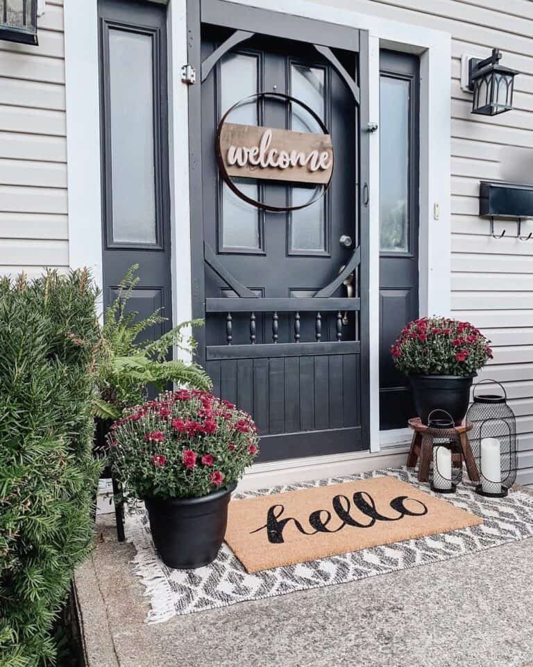 Black Door with Screens