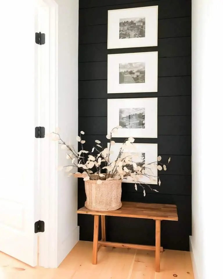 Black Wall with White Flowers