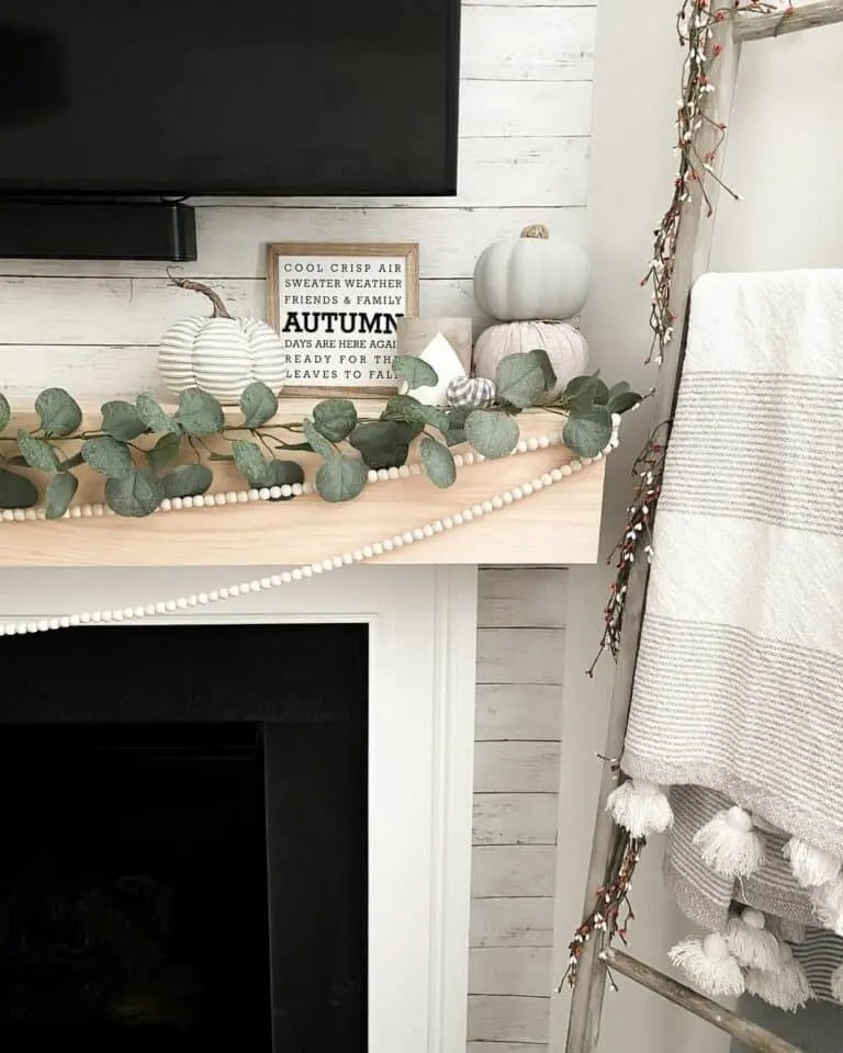 Blanket Ladder Styling Ideas