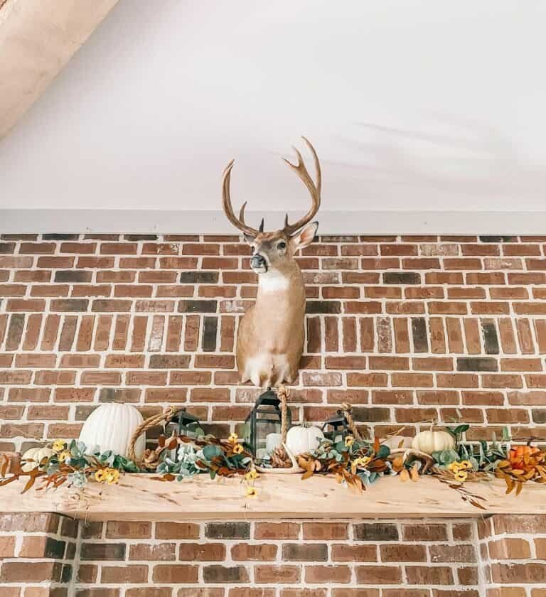 Brick Backdrop with Deer Display