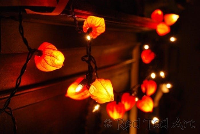 Colorful Leaf Fairy Lights