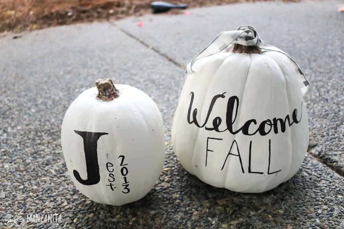 Elegant White Pumpkin Tips