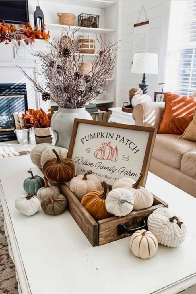 Farmhouse Pumpkin Patch Display