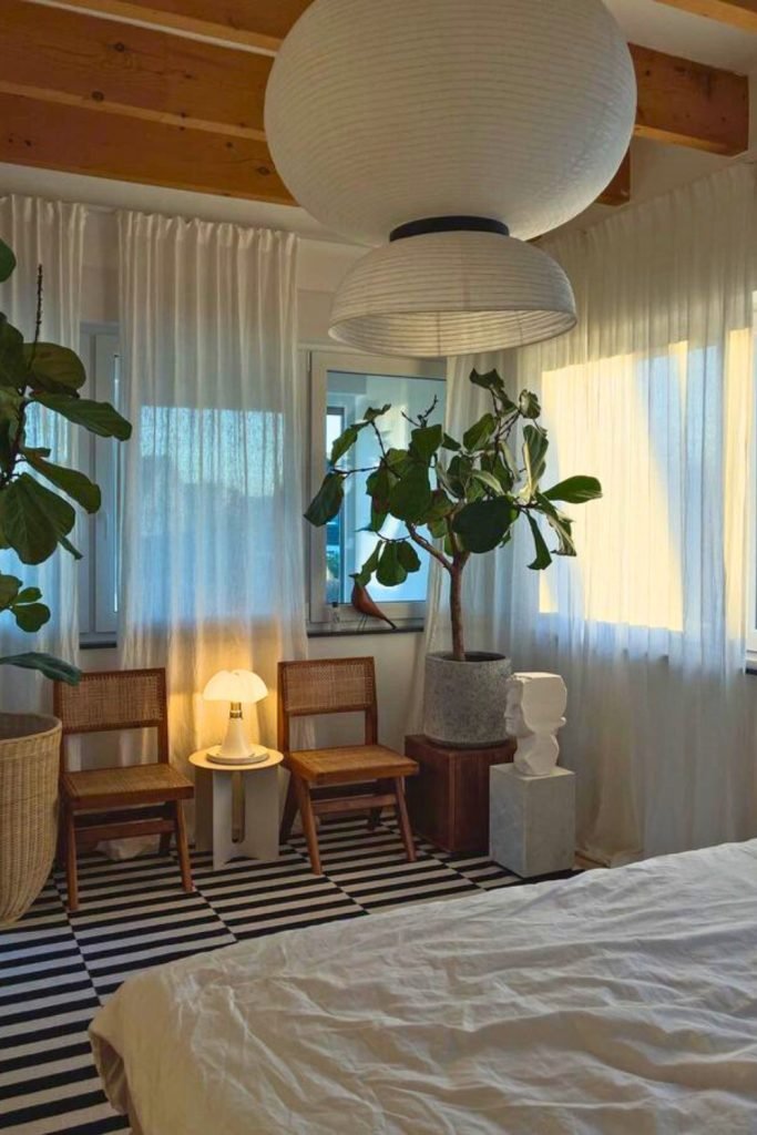 Fiddle Leaf Fig Space Setup