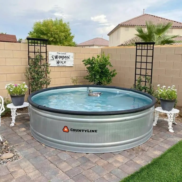 Metal Pool Design