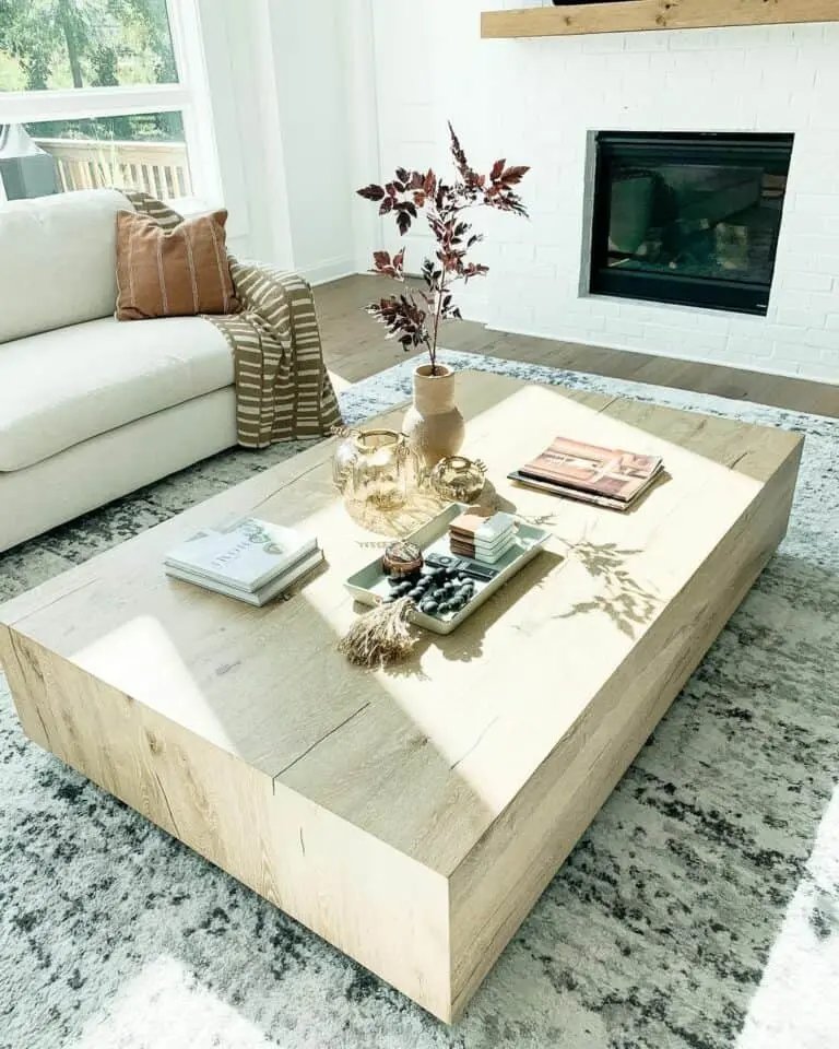 Minimal Decor for Coffee Tables