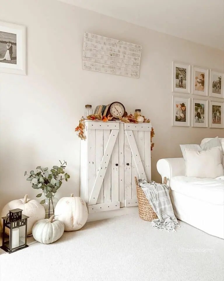 Modern Accents for Rustic Cabinet