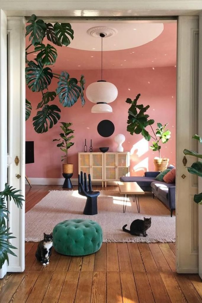 Monstera Plant and Decor