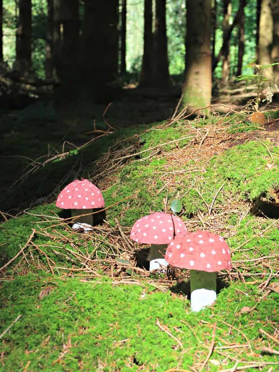 Natural Fairy Toadstool Crafts
