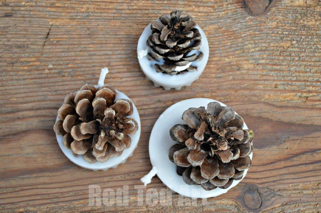 Pine Cone Candle Fire Starters