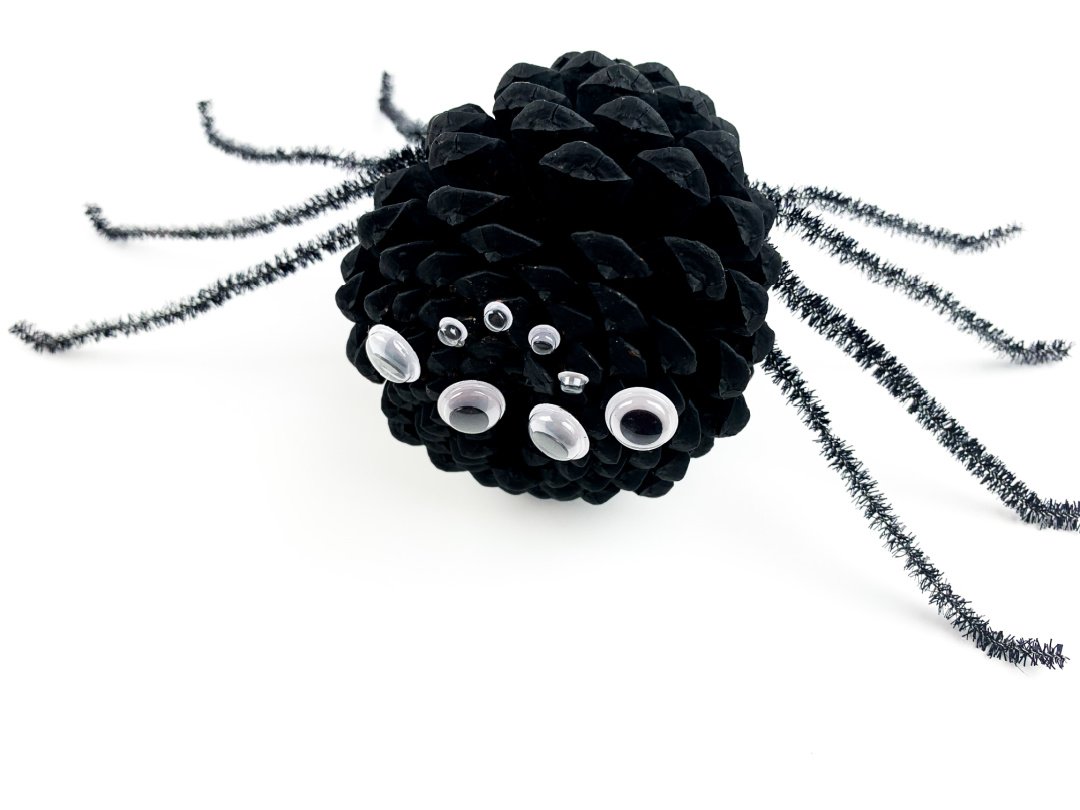 Pinecone Spider Craft Guide