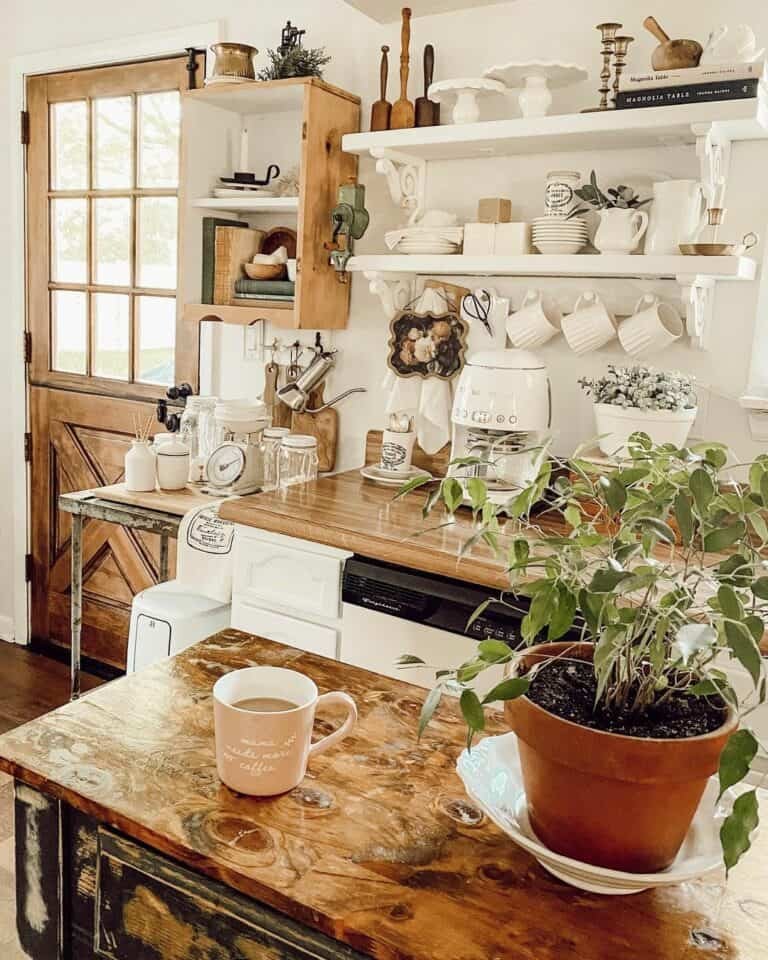 Plants and White Mugs