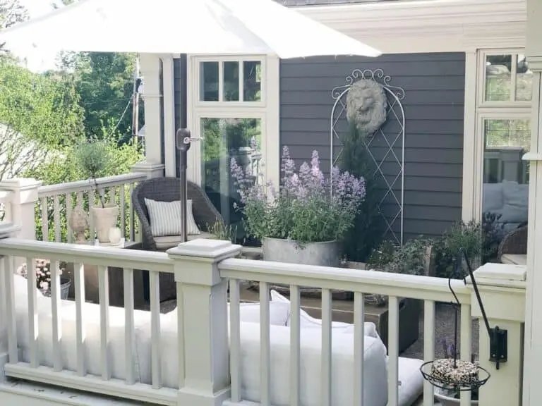Plants Under White Umbrella