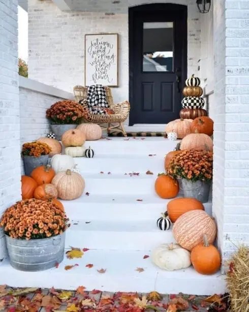 Pumpkin and Flower Arrangements