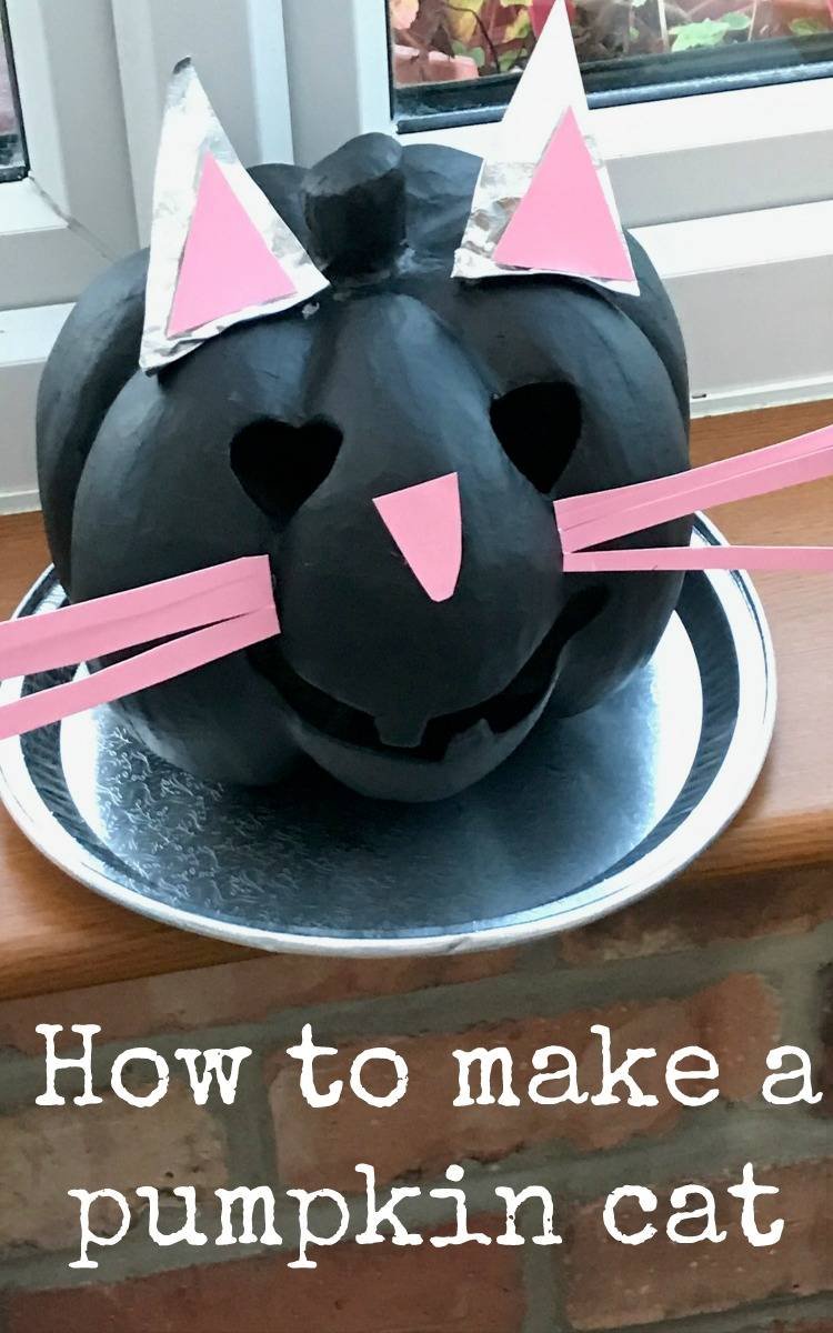 Pumpkin Cat Craft Supplies