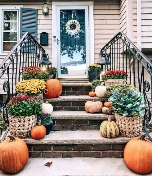 Step Decorations with Plants and Pumpkins