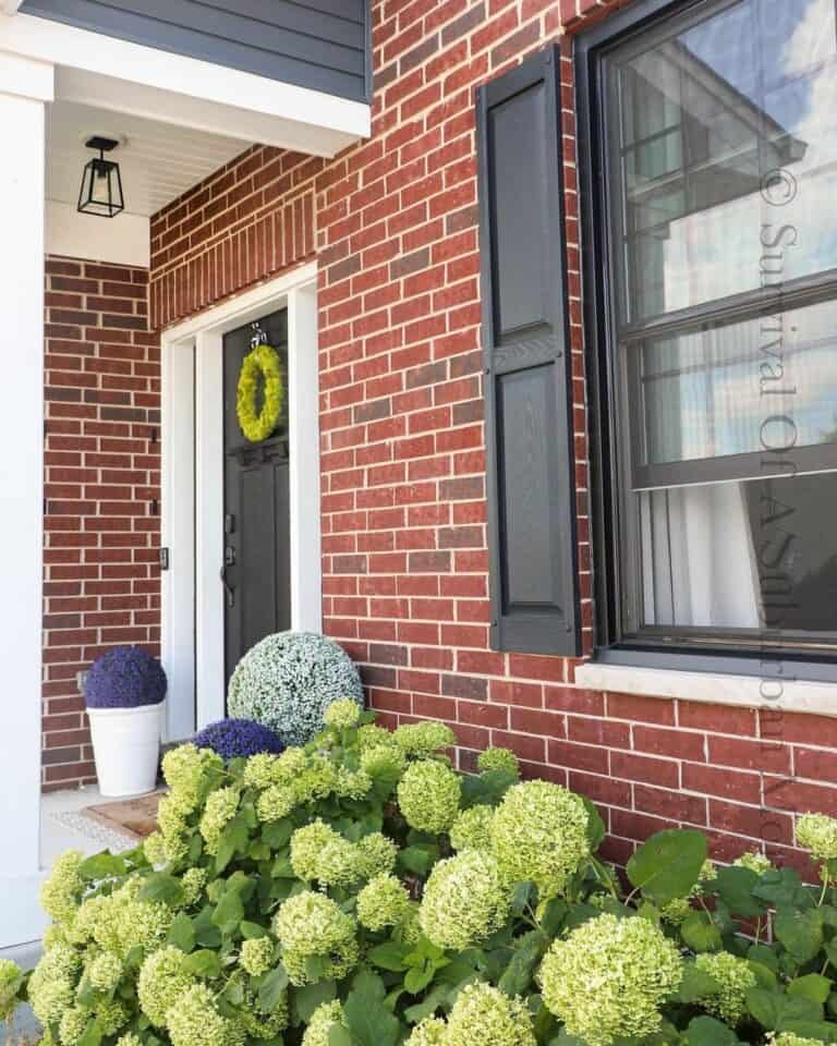 Summer Curb Appeal Ideas