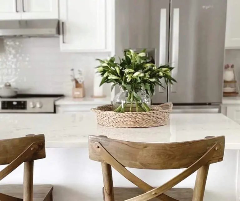 Summer Plants on Countertop