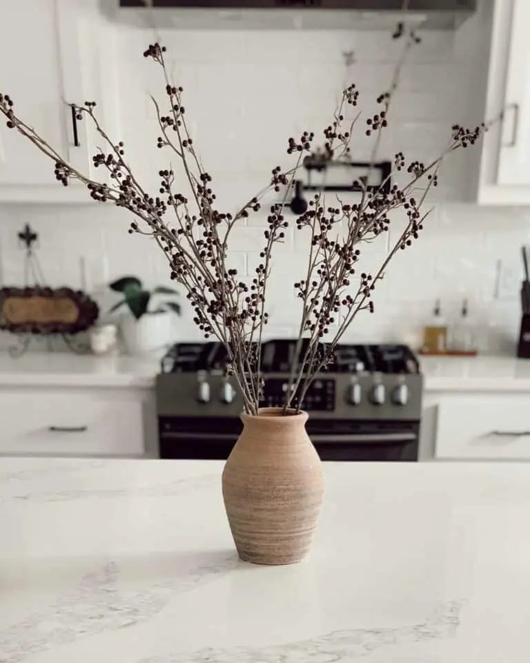 Terra-Cotta Vase with Berries