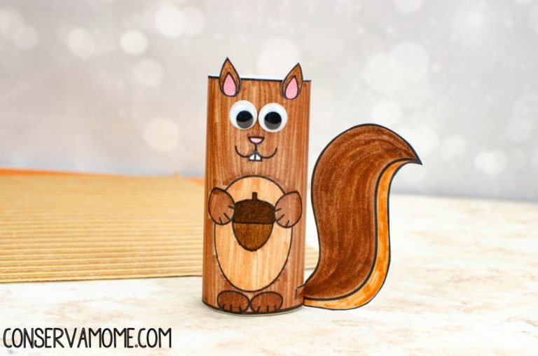 Toilet Paper Roll Squirrel Craft