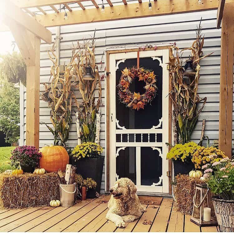 Victorian Screen Door Fall Theme