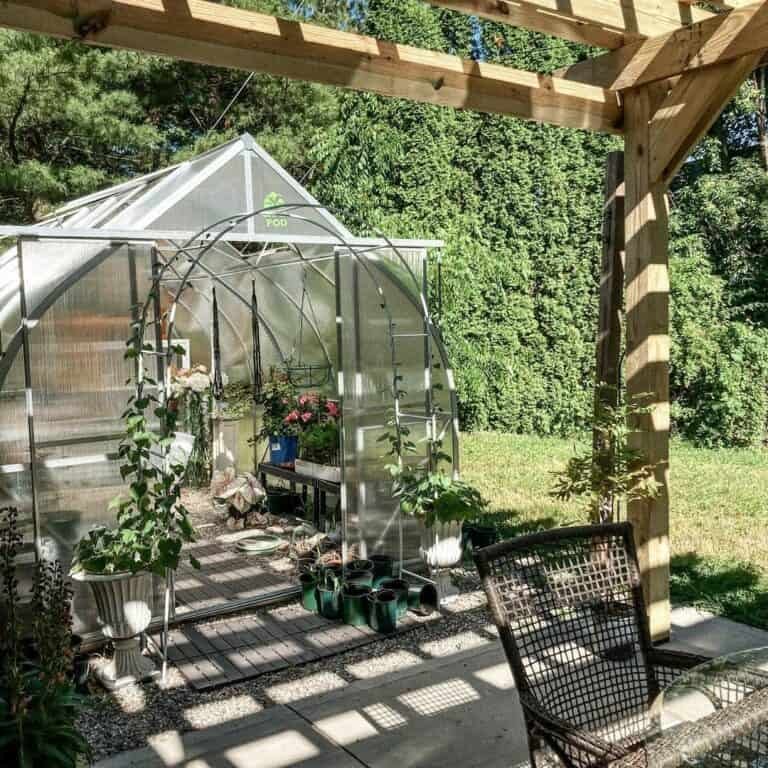 Wood Pergola and Greenhouse