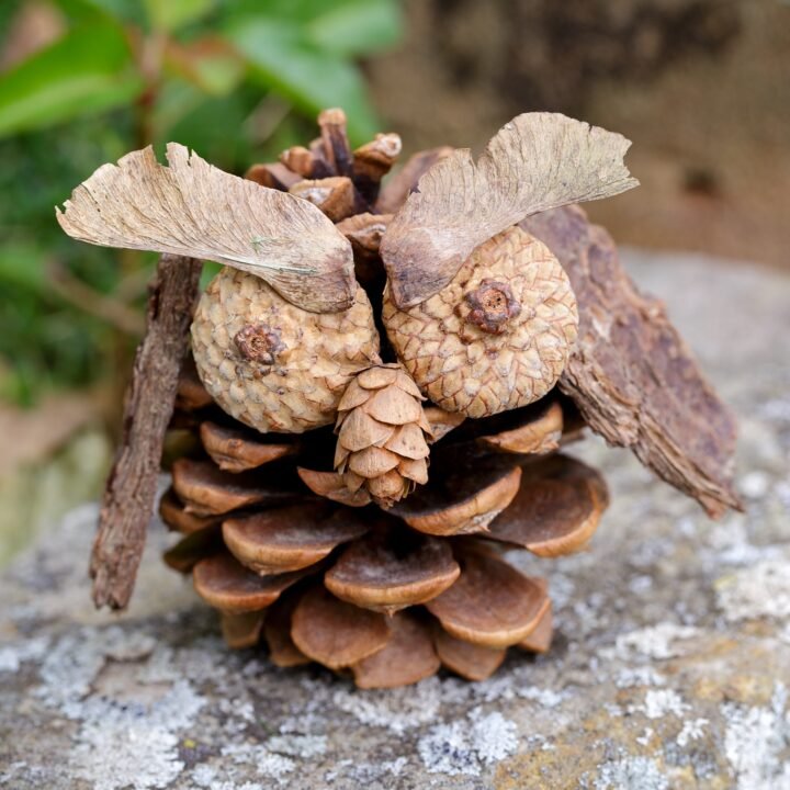Woodsy Pinecone Owl