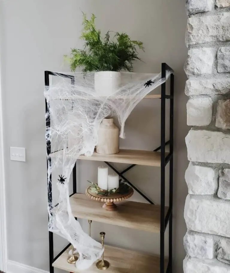 Black Bookshelf Cobwebs