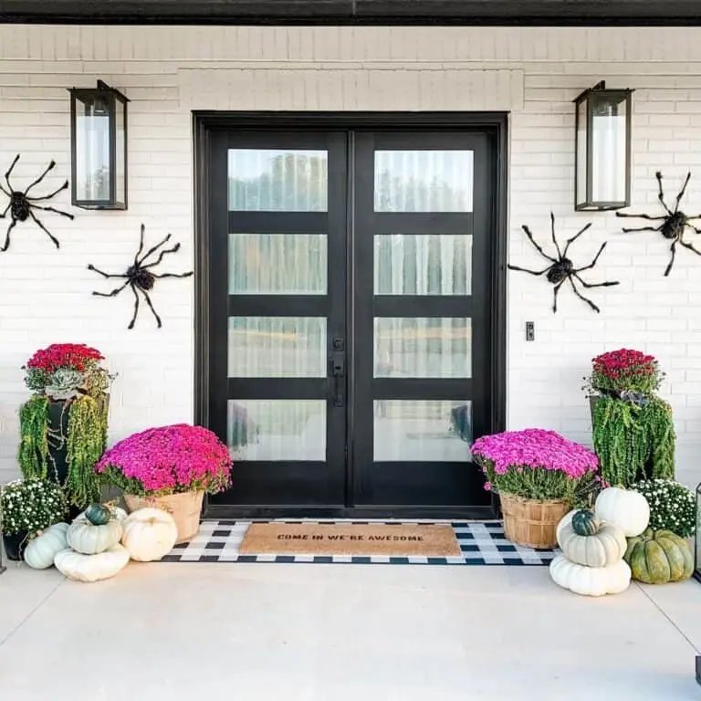 Black Front Door, Large Spiders