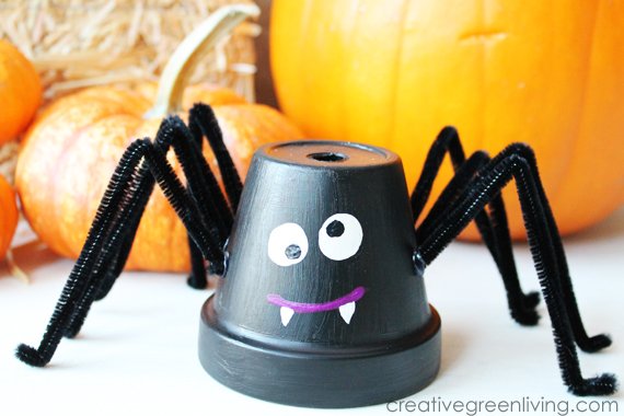 Flowerpot Spiders