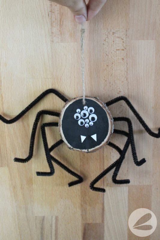 Giant Chenille Spider