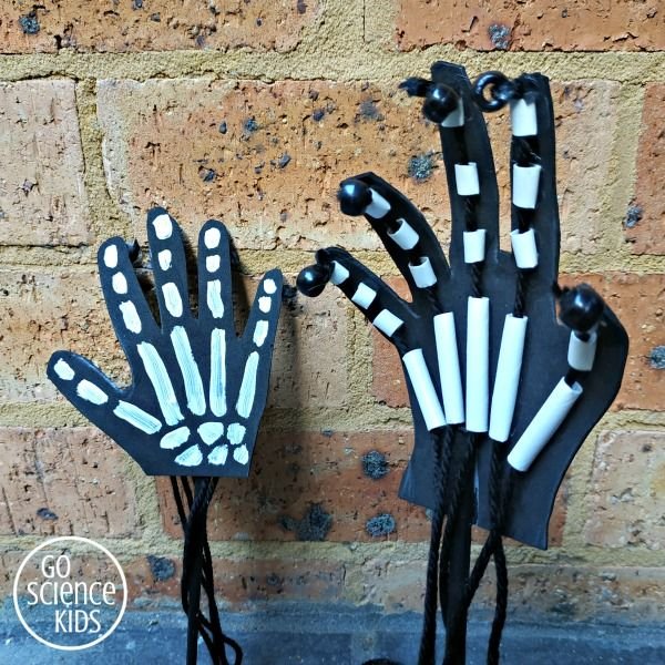 Movable Skeleton Hands