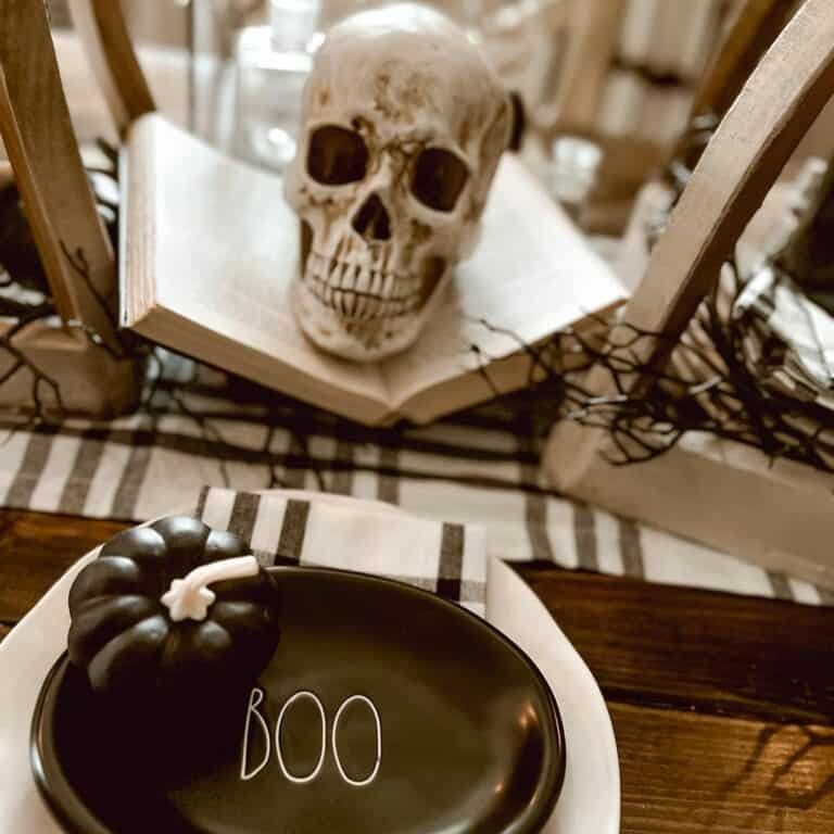 Open-Book Skull