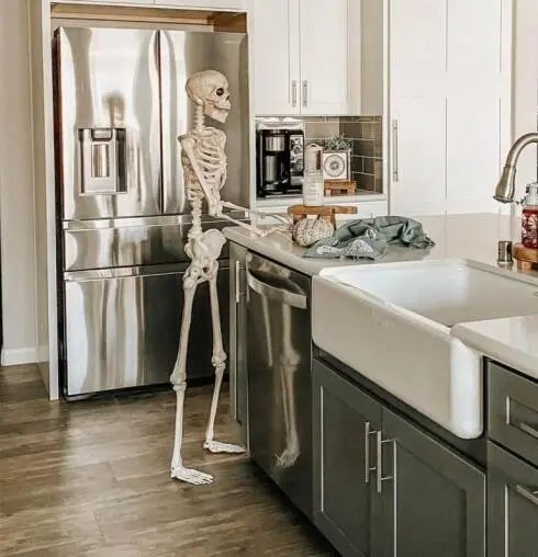 Skeleton on Kitchen Island