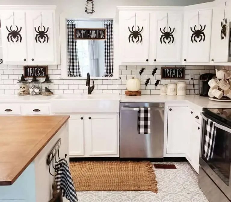 Spiders on Cabinet Doors