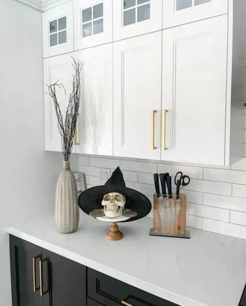 White and Black Skull Decor