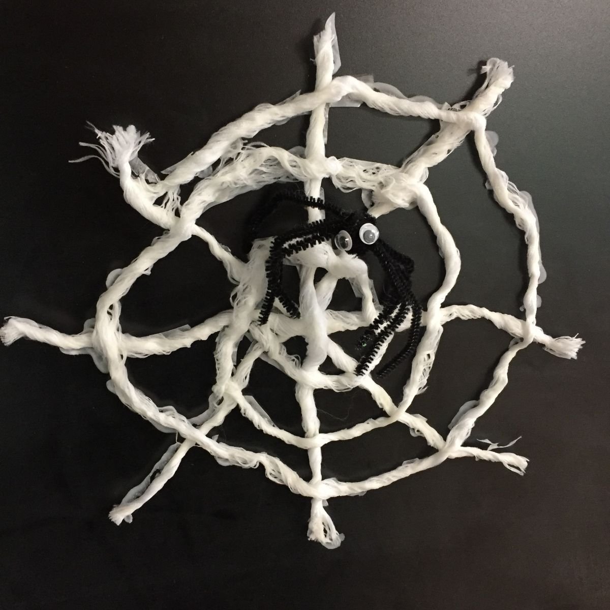 Yarn Spider Web