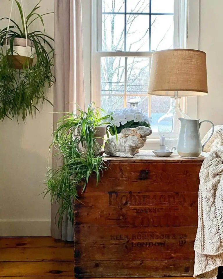 Antique Chest Display