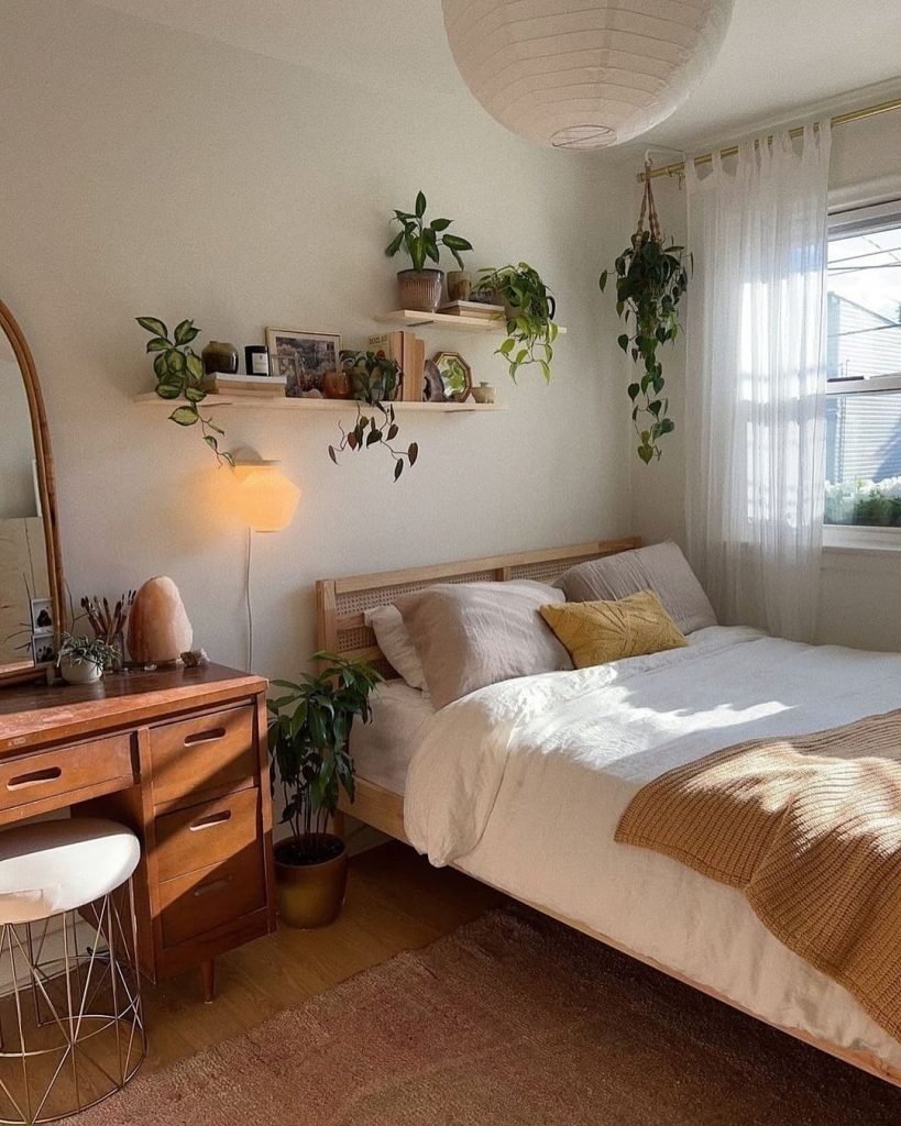 Bedroom Plant Display