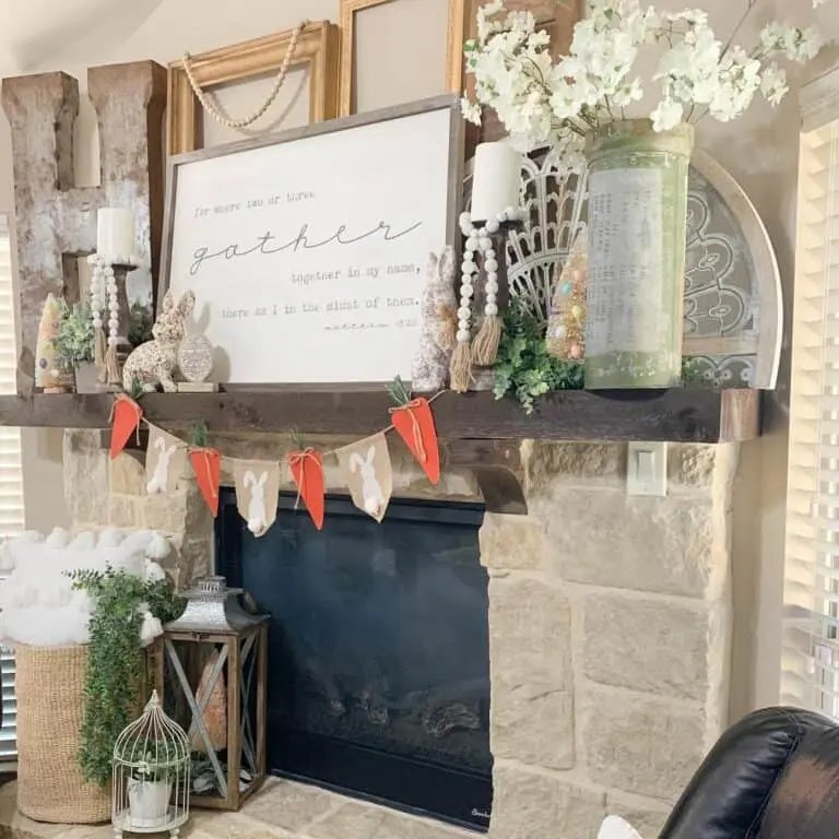 Birdcage Plant Display