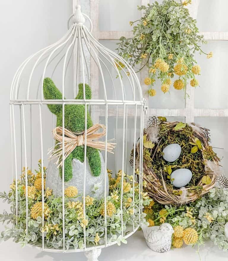 Caged Easter Display