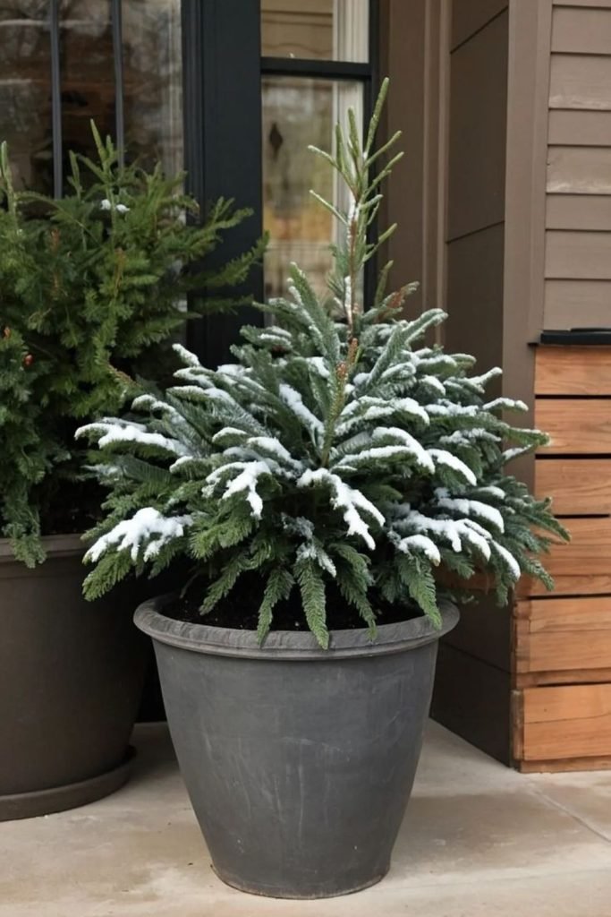 Dark Green Charcoal Planter