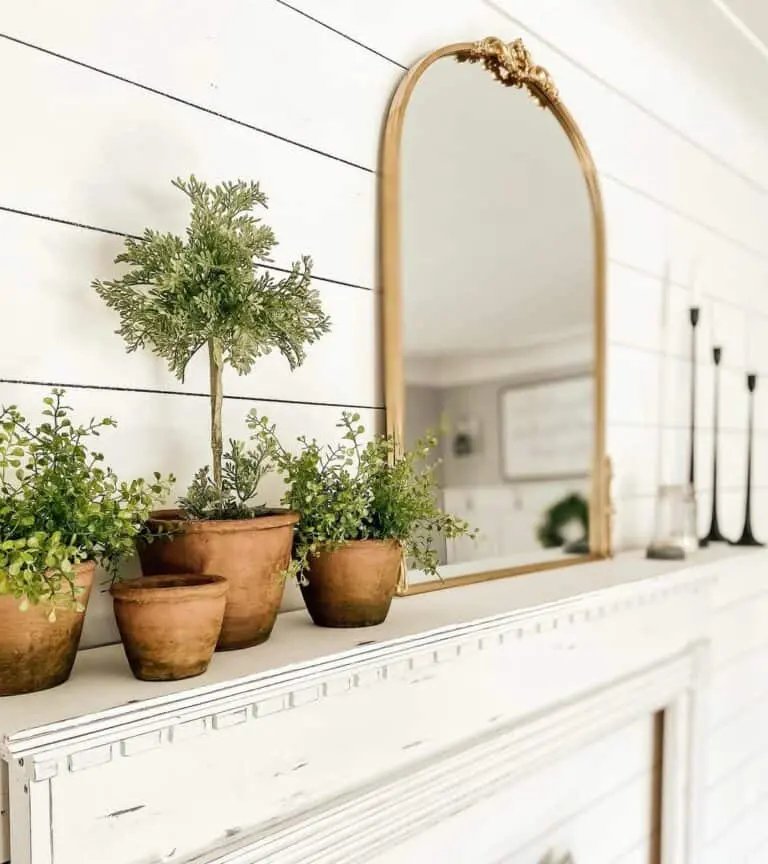 Terracotta Topiary Display